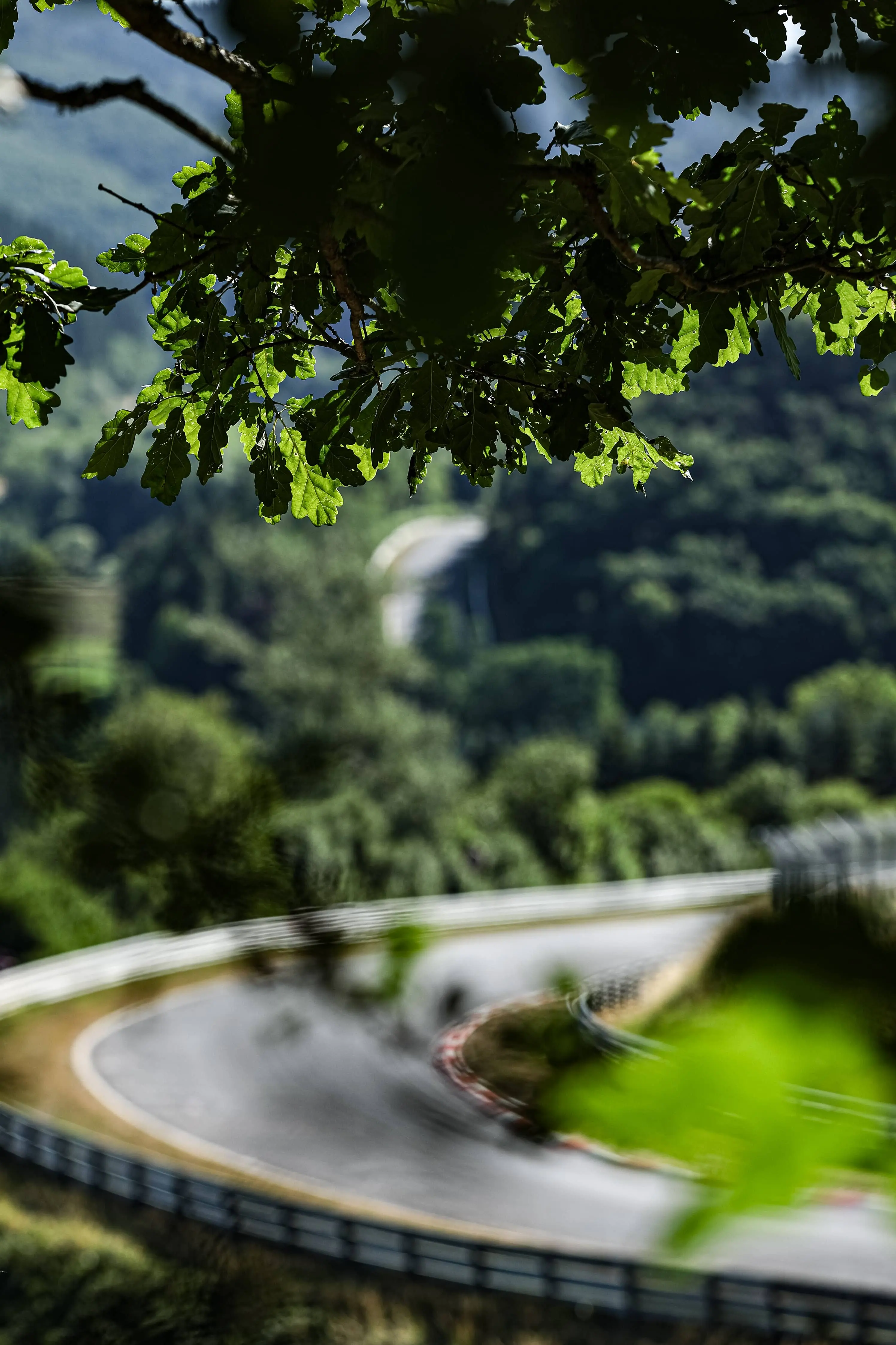 Einzelbild ohne Beschreibung in einer Bildergalerie