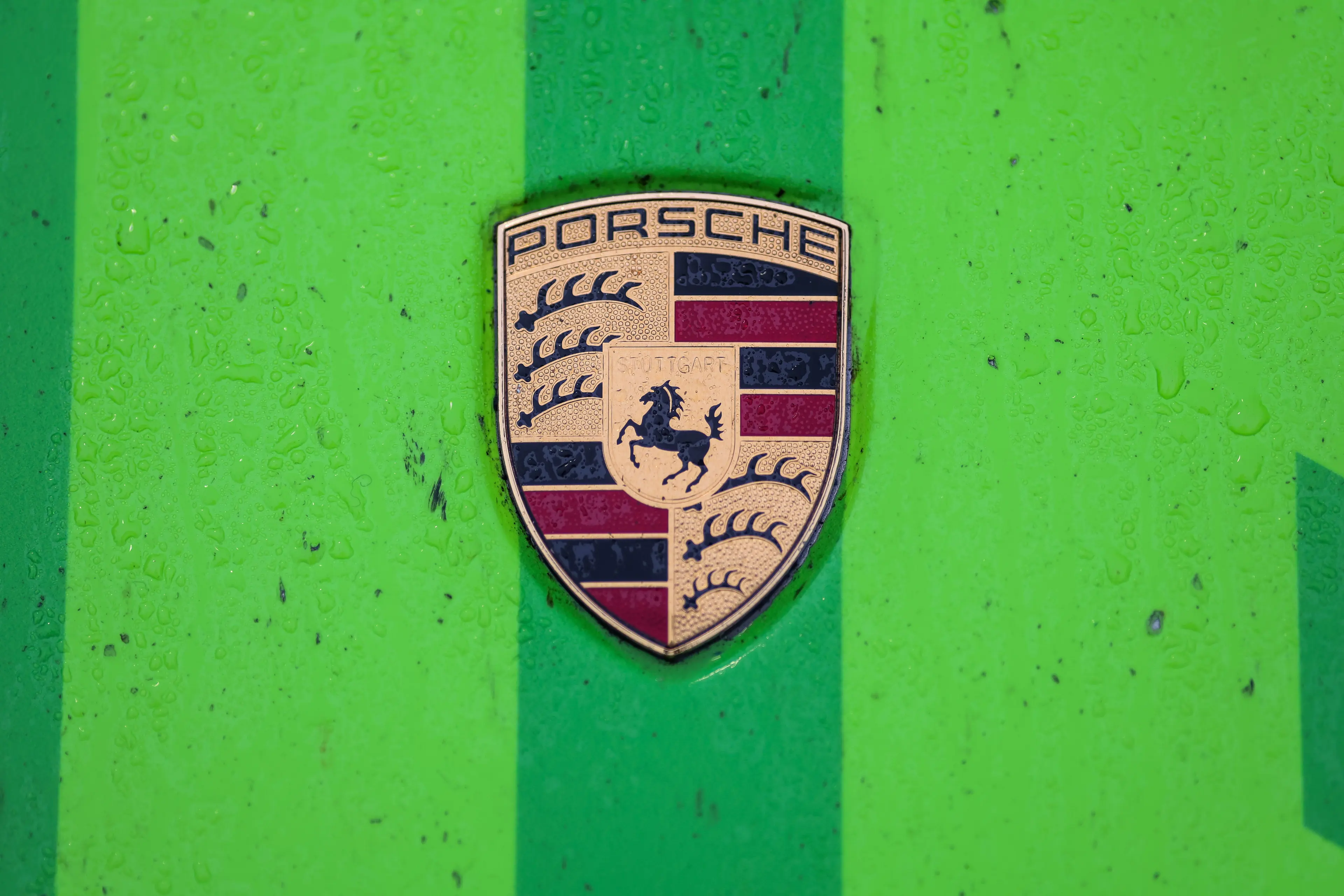 Einzelbild ohne Beschreibung in einer Bildergalerie